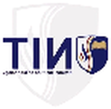 TIN